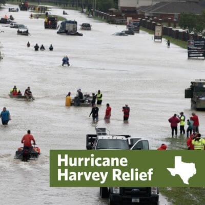 Harvey