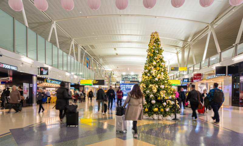 Holiday travel tips