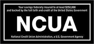 Your savings federally insured to at least $250,000 and backed by the full faith and credit of the United States Government. NCUA. National Credit Union Administration, a U.S. Government Agency.