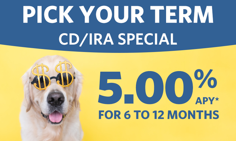 Updated CDIRA Special - Pick Your Term