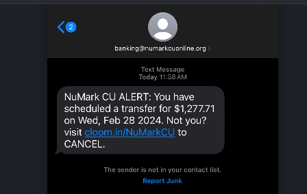 Phishing Scam Text Example