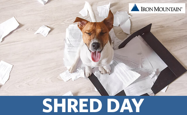 dog standing on torn documents