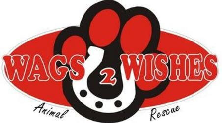 Wags 2 Wishes logo